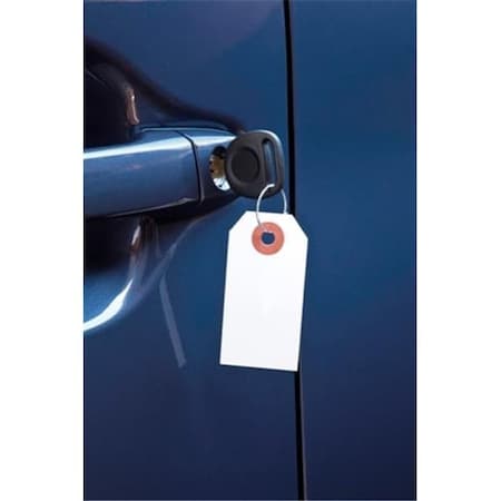 Petoskey Petoskey Fb-P9833-13 Paper Key Tag in Manila  With Metal Ring - 1000 Per Box FB-P9833-13